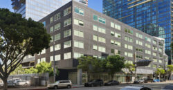 901 S. Flower St. #513