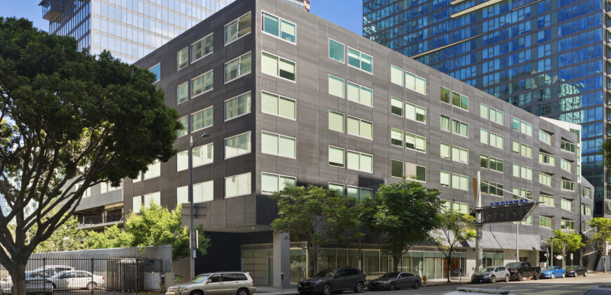 901 S. Flower St. #513