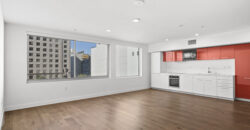 901 S. Flower St. #513