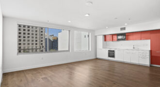 901 S. Flower St. #513