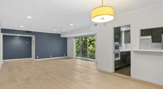 7309 Franklin Ave. #306
